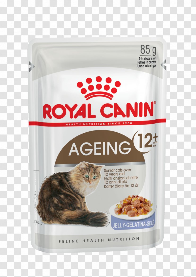 Cat Food Kitten Dog British Shorthair Royal Canin - Digest Sensitive Canned Transparent PNG