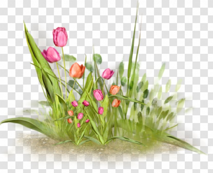 Flower Clip Art - Tulip Transparent PNG