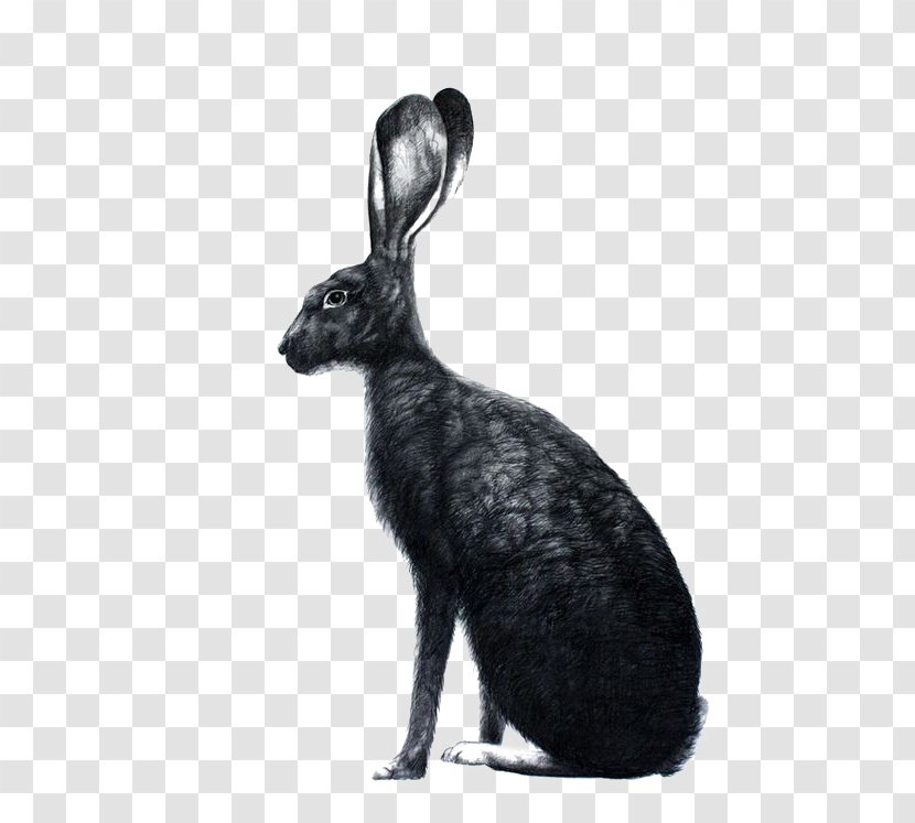 Easter Bunny The Book Of Suicides March Hare Bunnies & Rabbits - Domestic Rabbit - Black Illustration Transparent PNG