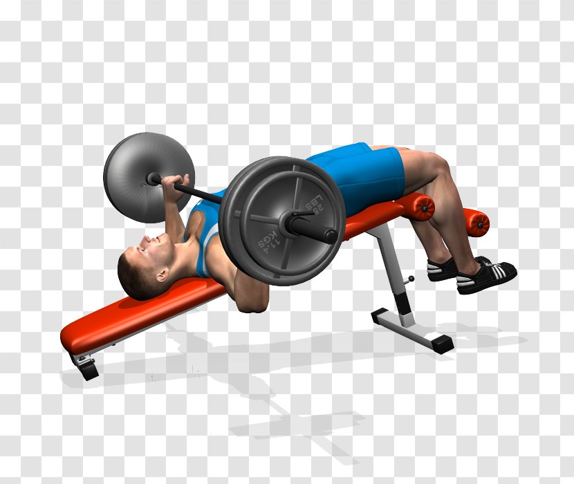 Weight Training Bench Press Barbell Fly - Nutrition Transparent PNG