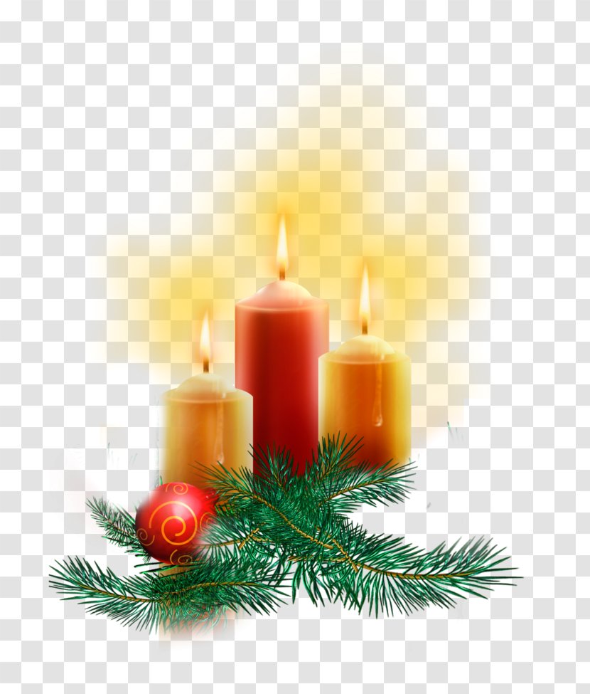 Clip Art Christmas Day Candle Image - Conifer Transparent PNG