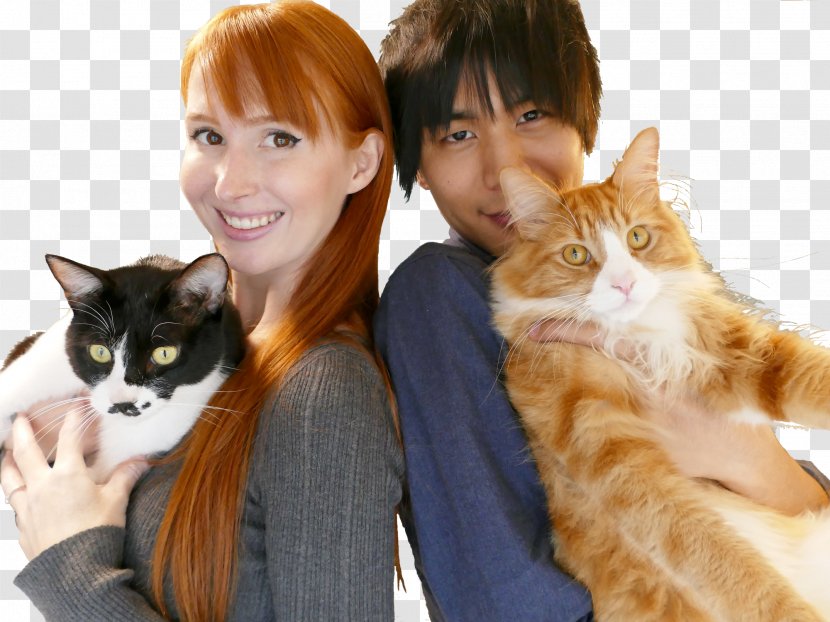 Kitten Japan Animazement Cat Rachel And Jun - Small To Medium Sized Cats Transparent PNG