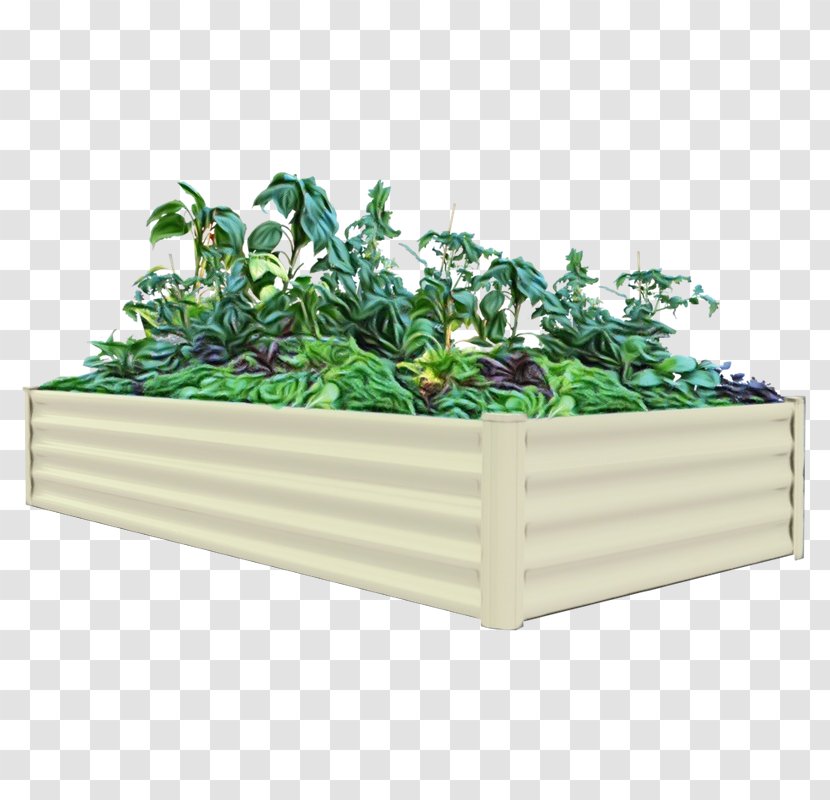 Green Flowerpot Plant Grass Flower - Leaf Vegetable Transparent PNG