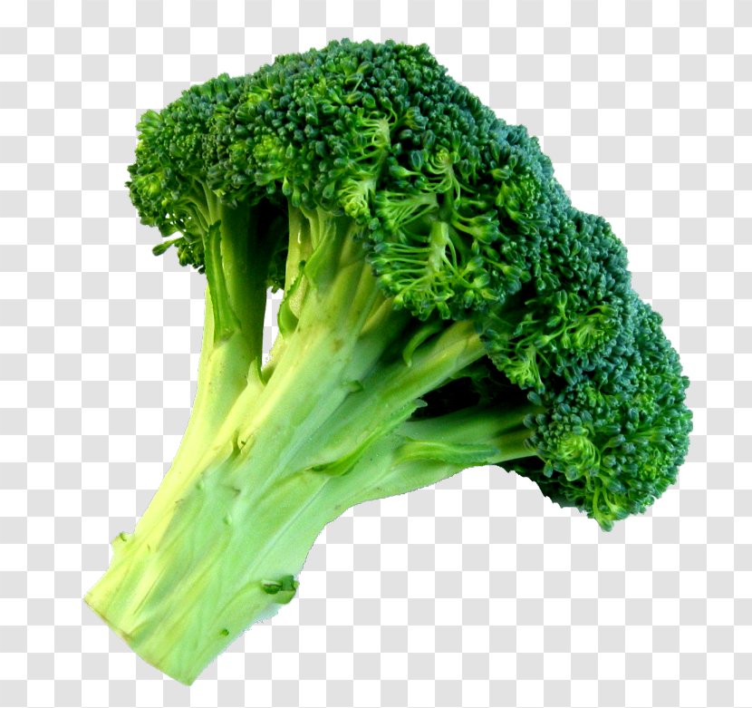 Broccoli Food Rapini Spring Greens Mustards - Diet Transparent PNG