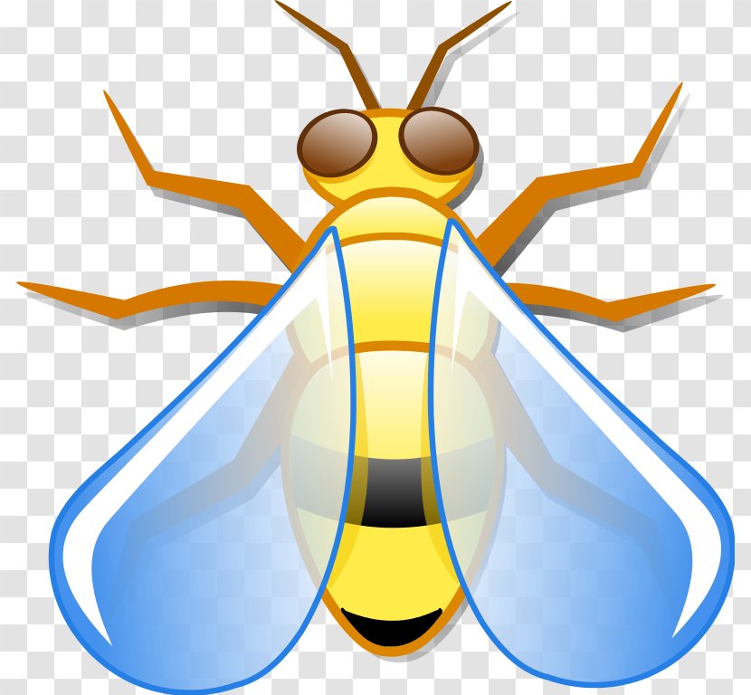 Clip Art - Fly - Bug Transparent PNG