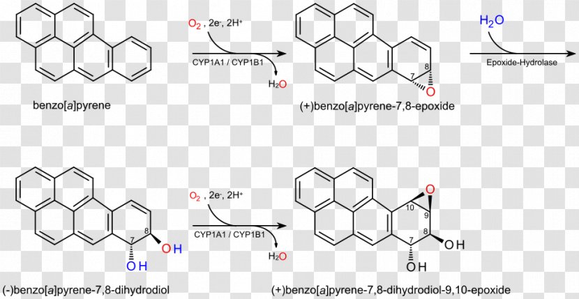Benzo[a]pyrene Enantiomer Chemistry Carcinogen Polycyclic Aromatic Hydrocarbon - Pyrene Transparent PNG