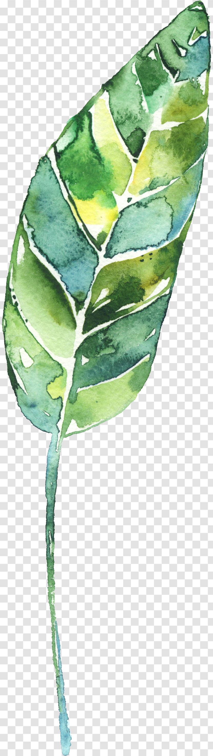 Creative Watercolor Painting Leaf - Line Art - Celebration Flower Drawing Transparent PNG