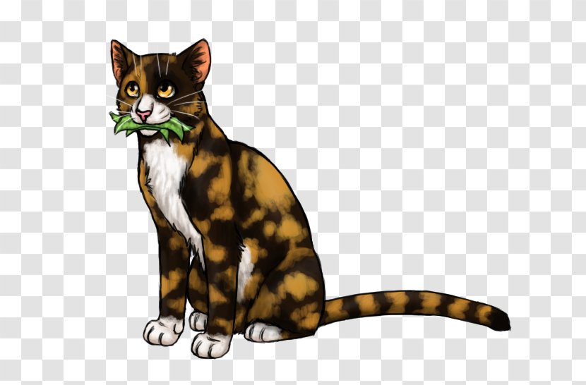 Whiskers Kitten Tabby Cat Warriors Transparent PNG