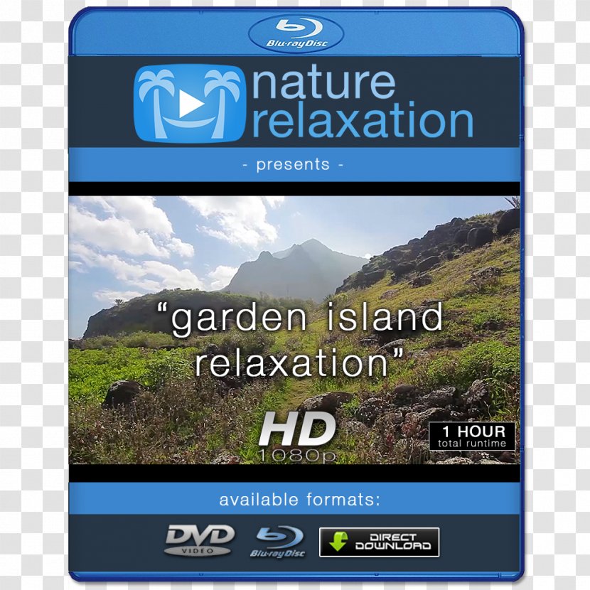 4K Resolution Display High-definition Television 1080p Video - Frame - Tropical Landscape Transparent PNG