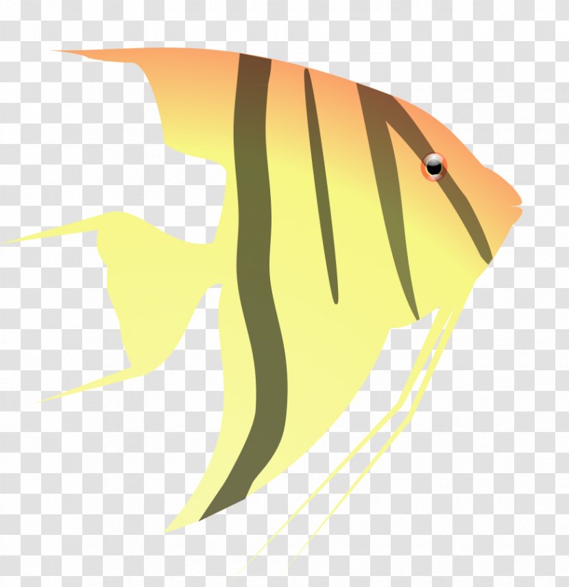 Angelfish Clip Art - Free Fish Pictures Transparent PNG