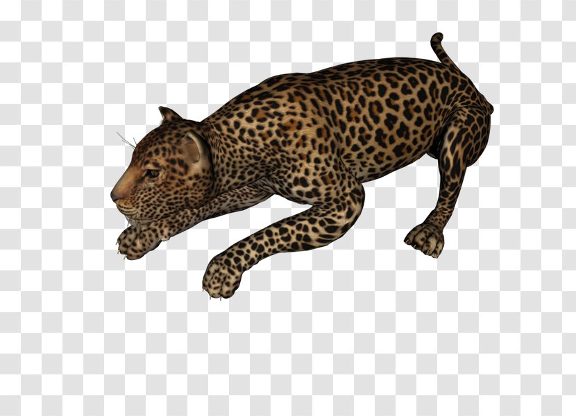 Leopard Jaguar Cheetah PhotoScape Clip Art - Photoscape - Persian Transparent PNG