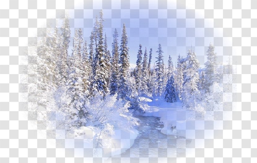 Desktop Wallpaper Winter Metaphor Forest - Pine Family Transparent PNG