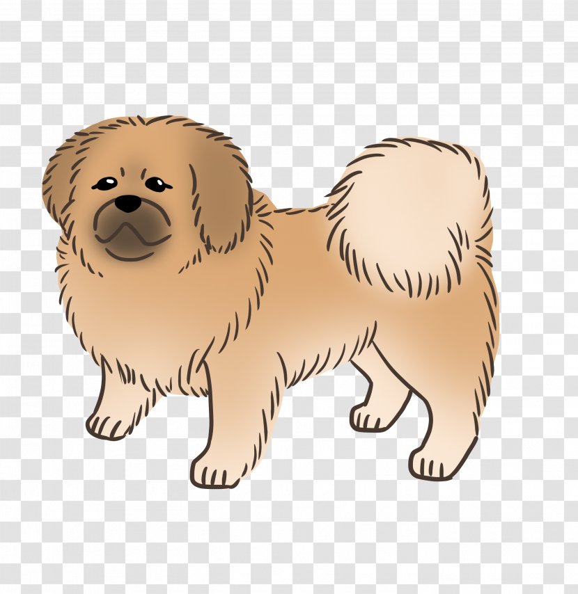 Dog Breed Puppy Companion Sporting Group - Love Transparent PNG