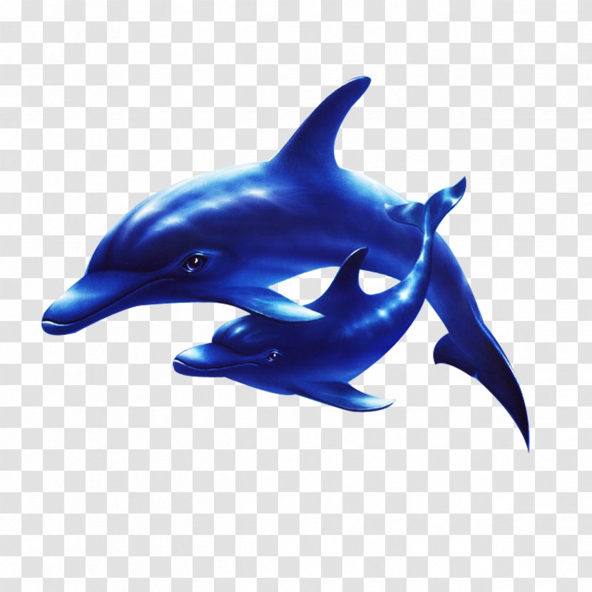 Dolphin Sea Clip Art - Mammal - Submarine Dolphins Transparent PNG