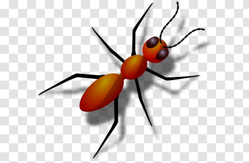 Ant Clip Art - Wing - Ants Cliparts Transparent PNG