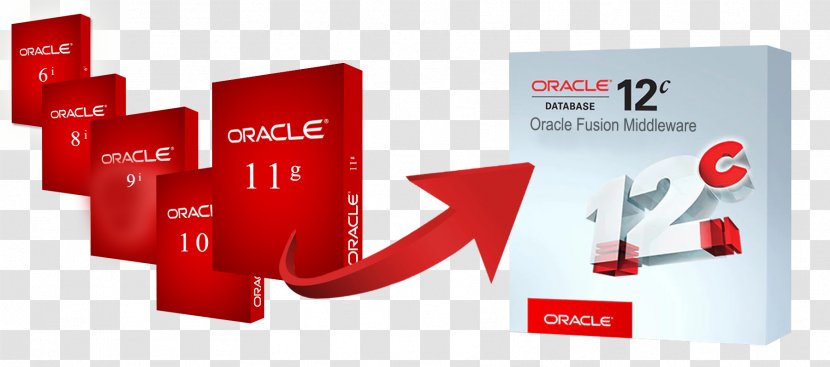 Oracle Forms 12c/11g/10g: Pl/Sql Programing Corporation Fusion Middleware Teora - Legacy System - Green Database Transparent PNG