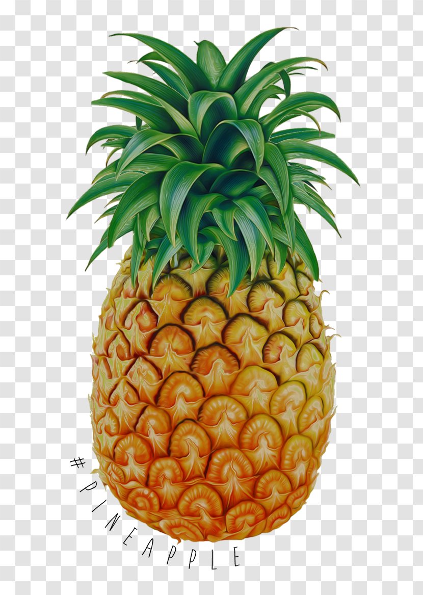 Tropical Fruit Pineapple Drawing - Sweetness Transparent PNG