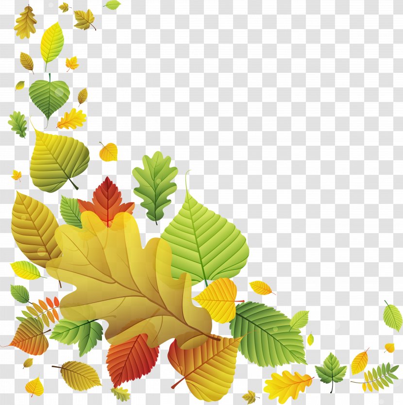 Leaf - Flash Video - Autumn Leaves Transparent PNG