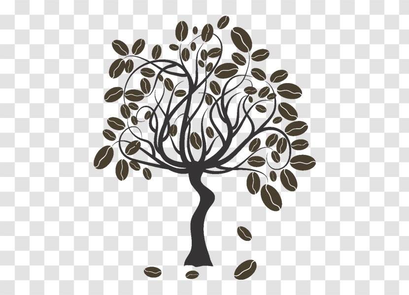 Coffee Bean - Plant Transparent PNG