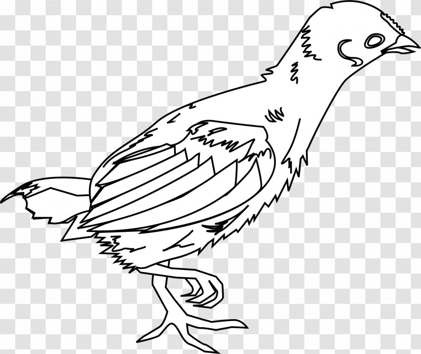 Chicken Kifaranga - Fowl - Chickens Clipart Transparent PNG