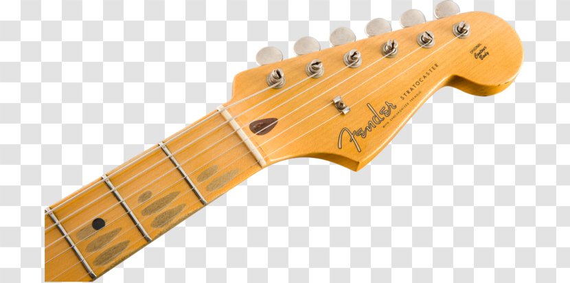Acoustic-electric Guitar Fender Stratocaster Eric Clapton Precision Bass Amplifier - Indian Musical Instruments - Electric Transparent PNG