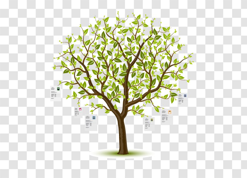 Clip Art Vector Graphics Image Illustration Royalty-free - Woody Plant - Tree Transparent PNG