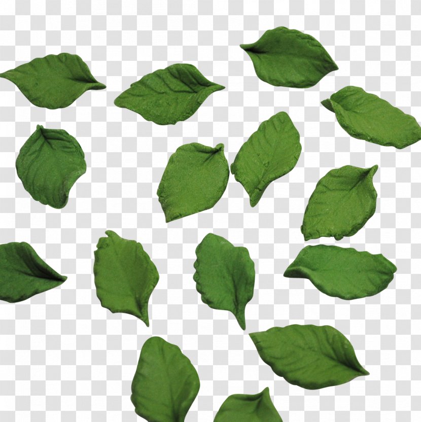 Leaf Image Rose Plant Stem - Tree Transparent PNG