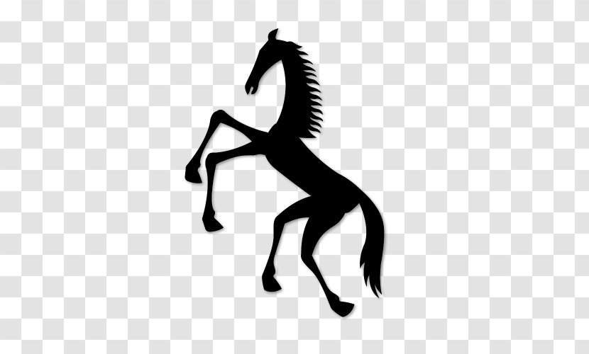 Stallion Mustang Pony Colt Horses & Jumping - Silhouette Transparent PNG