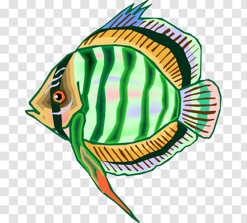 Pomfret Fish Pampus Argenteus Clip Art Transparent PNG