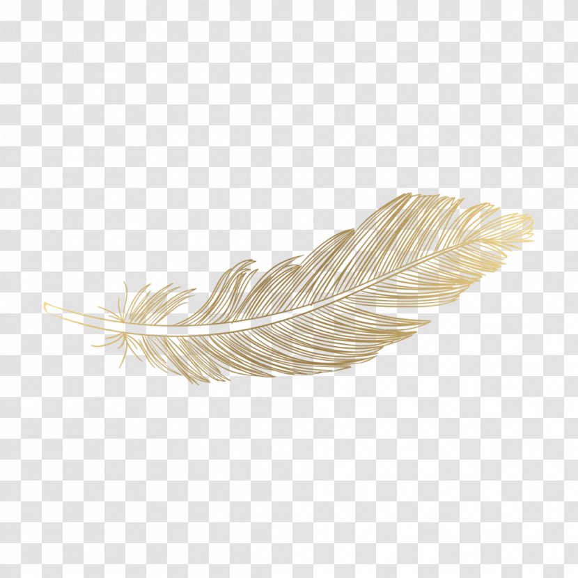 Photography Image Feather 0 - 2018 - Gold Transparent PNG