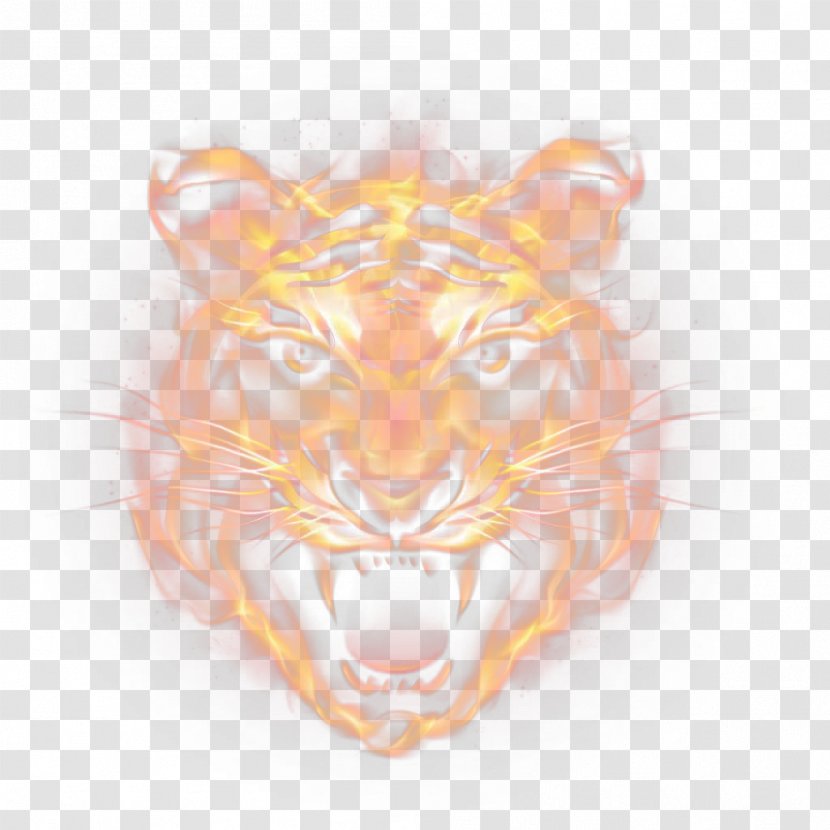 Tiger Euclidean Vector Icon - Big Cats Transparent PNG