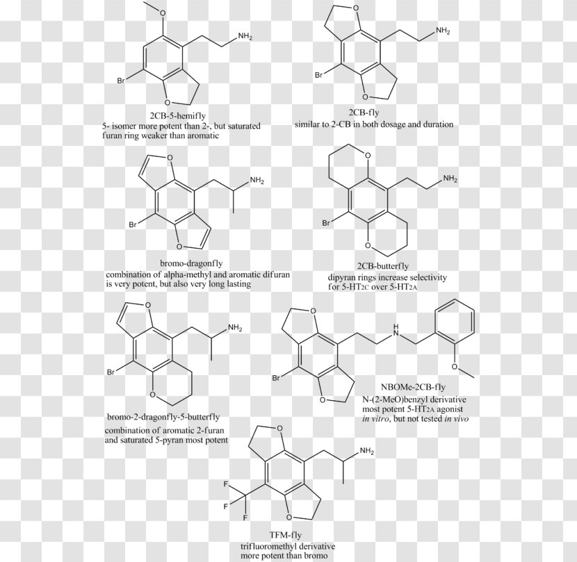 Fluxional Molecule Ligand Chemistry Coordination Complex - Cartoon - 2cb Transparent PNG