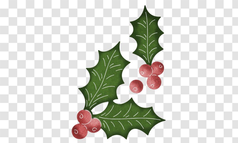 Leaf Cheery Lynn Designs Die Common Holly Aquifoliales Transparent PNG