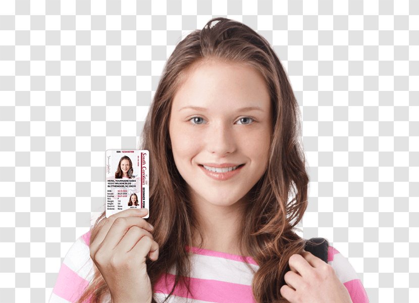 Driver's Manual South Carolina Education Learner's Permit License - Tree - Test Pass Transparent PNG