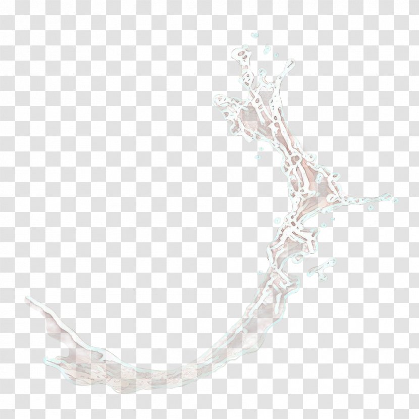 White Background - Branch - Drawing Transparent PNG