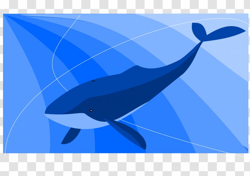 Balaenidae Blue Whale Game Suicide Transparent PNG