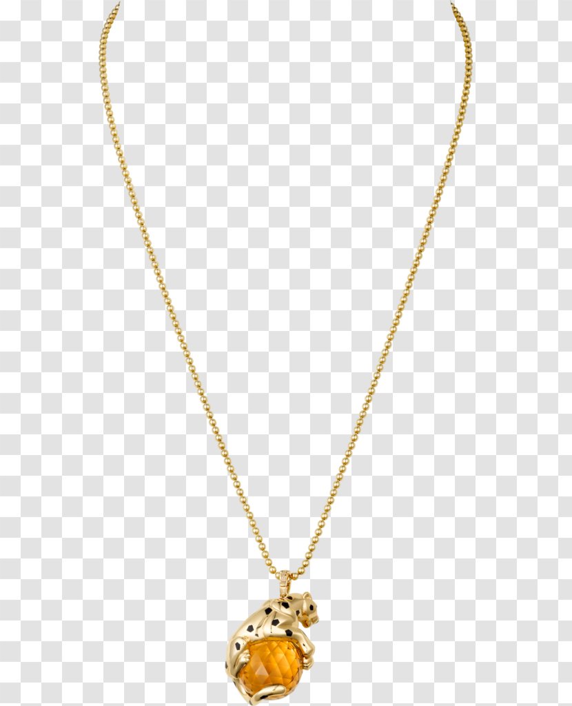 Locket Necklace Jewellery Garnet Citrine - Fashion Accessory - Black Panther Transparent PNG