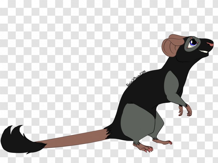 Rodent Rat Cartoon Muroidea Mammal - & Mouse Transparent PNG