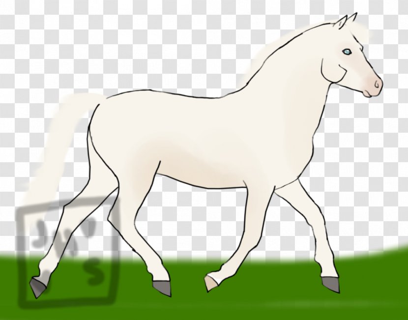 Mule Foal Stallion Colt Mare - Line Art - Mustang Transparent PNG