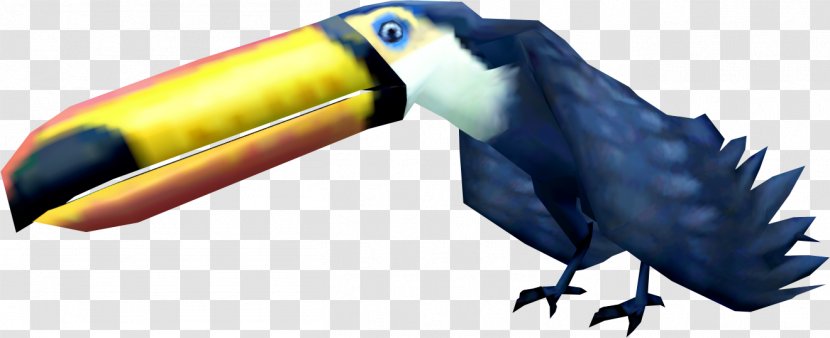 Bird Parrot Toucan Beak Macaw - Piciformes Transparent PNG