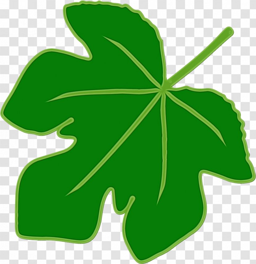 Shamrock - Plant - Wood Sorrel Family Transparent PNG