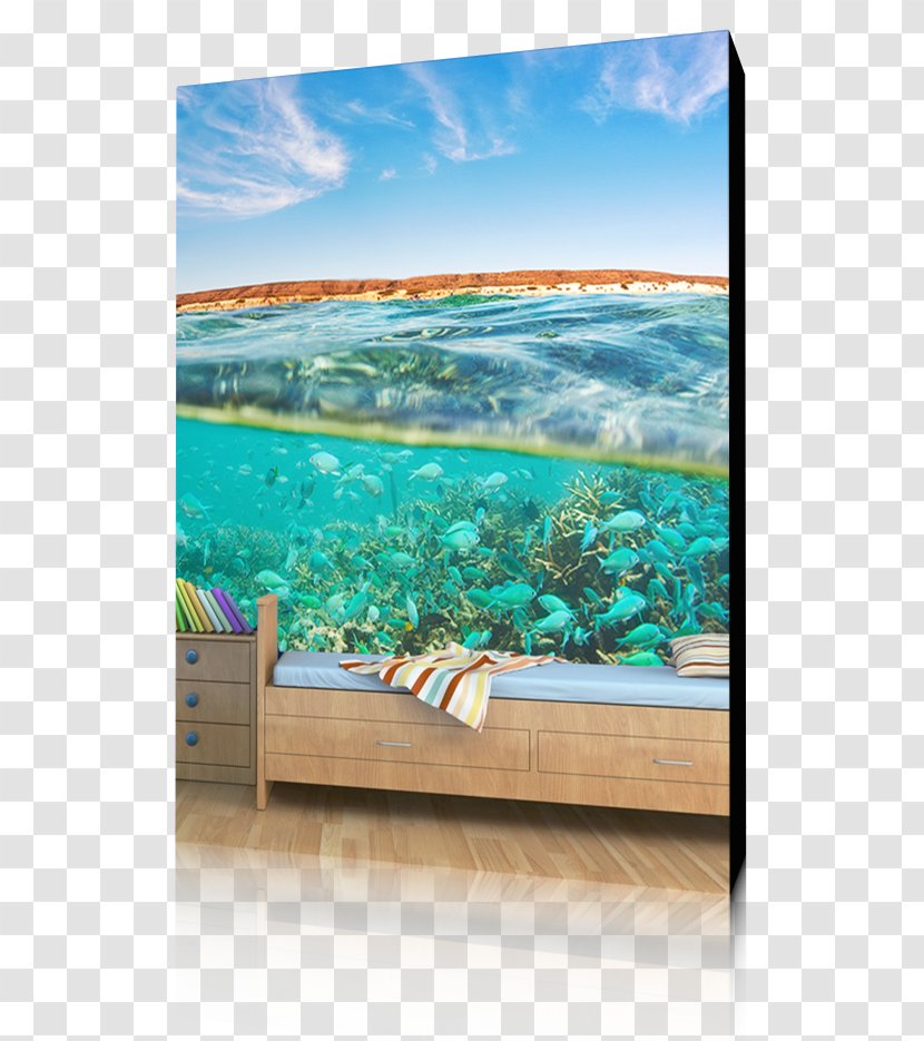 Ningaloo Coast Coral Bay Exmouth Cape Range National Park Great Barrier Reef - Silk Print Transparent PNG