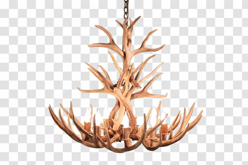 Chandelier Antler Deer Moose Elk Transparent PNG