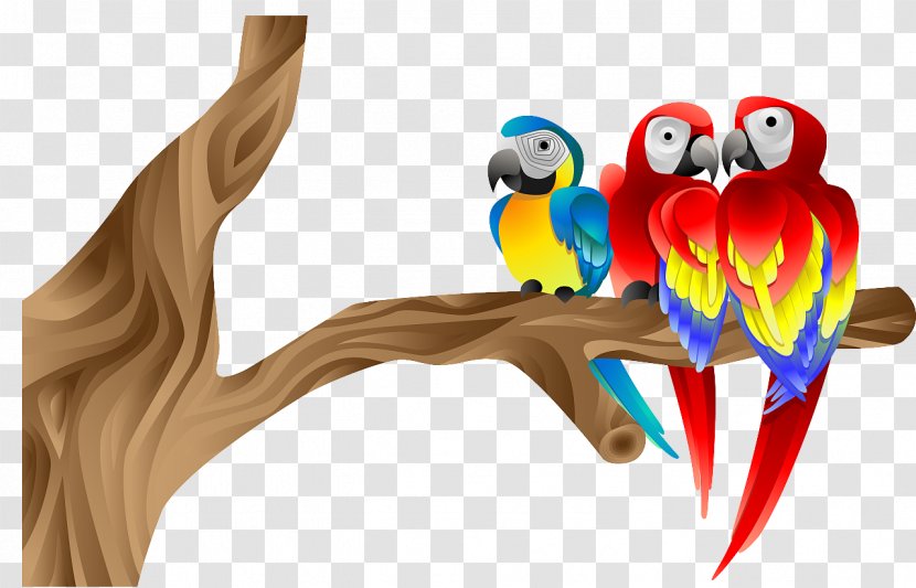 Macaw Parrot Bird Beak Illustration - Lovebird - Creative Work Transparent PNG