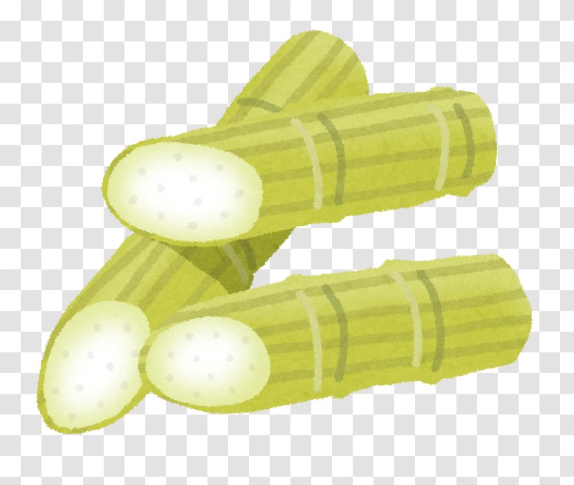 Saccharum Officinarum Food Illustration Sugar Corn On The Cob - Vegetable Transparent PNG