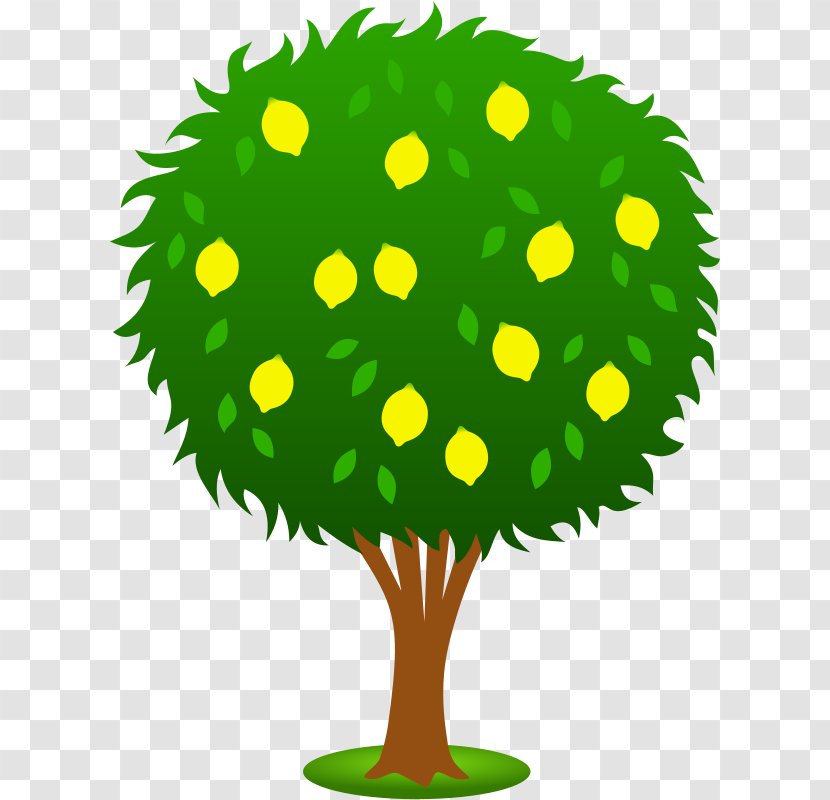 Lemon Fruit Tree Clip Art - Lime - Grass Transparent PNG