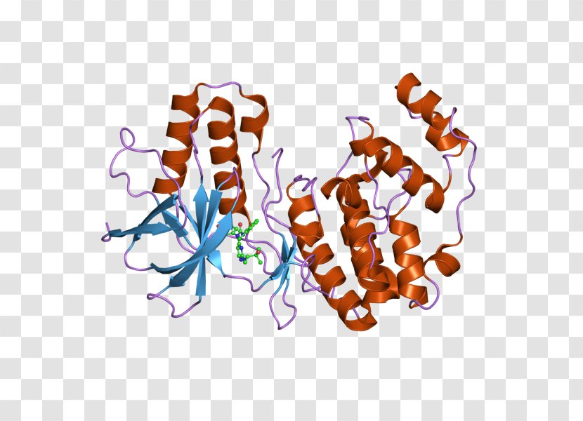 MAPK1 Mitogen-activated Protein Kinase - Watercolor - Cartoon Transparent PNG