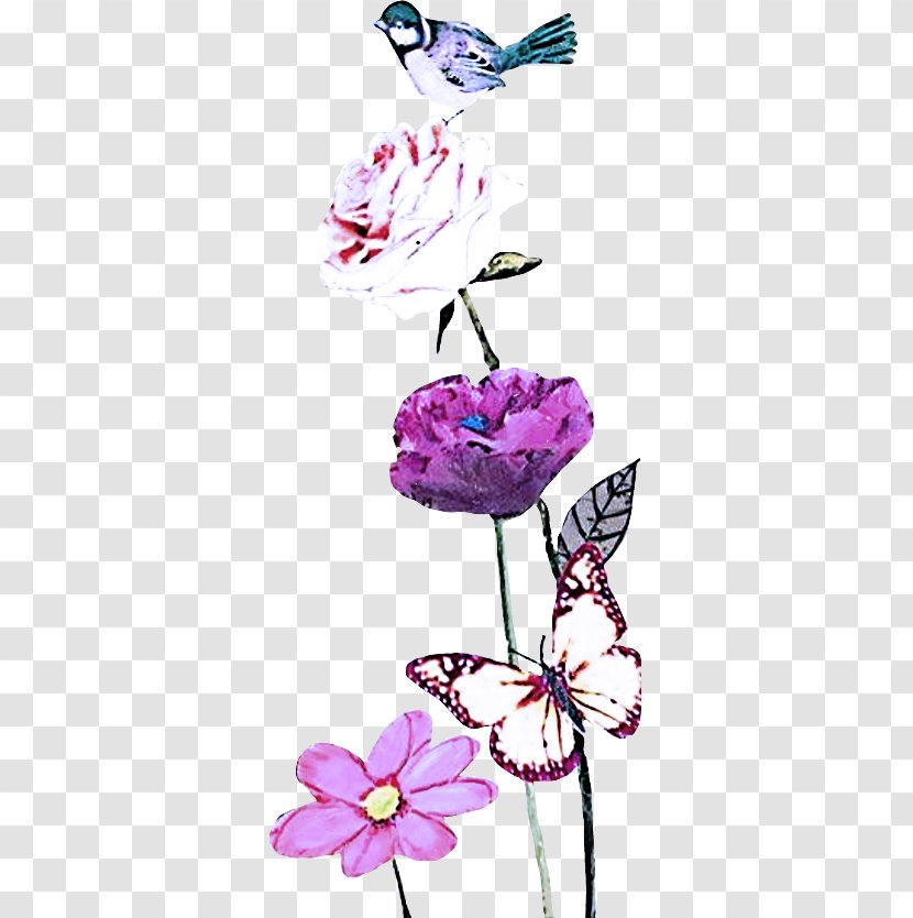 Flower Purple Pink Butterfly Violet - Moths And Butterflies - Cut Flowers Transparent PNG