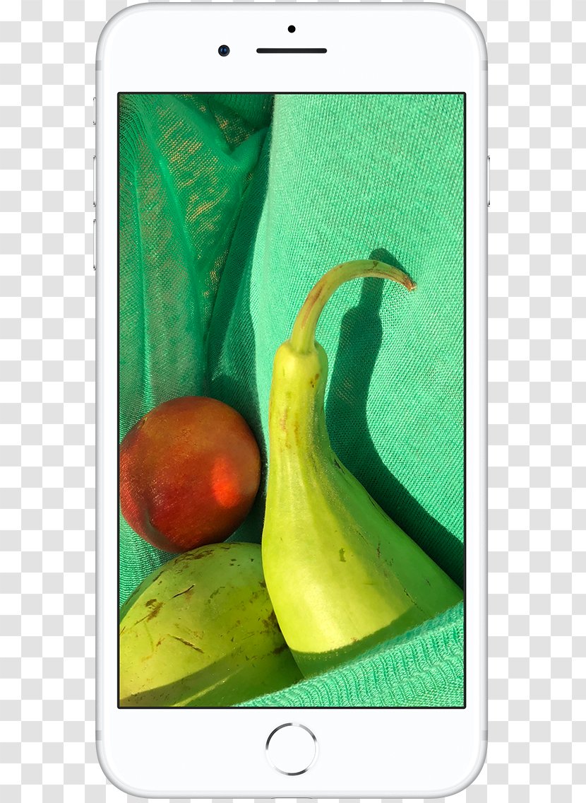 IPhone 8 Plus Color Apple Gamut Display Device - Iphone - Hd Brilliant Light Fig. Transparent PNG