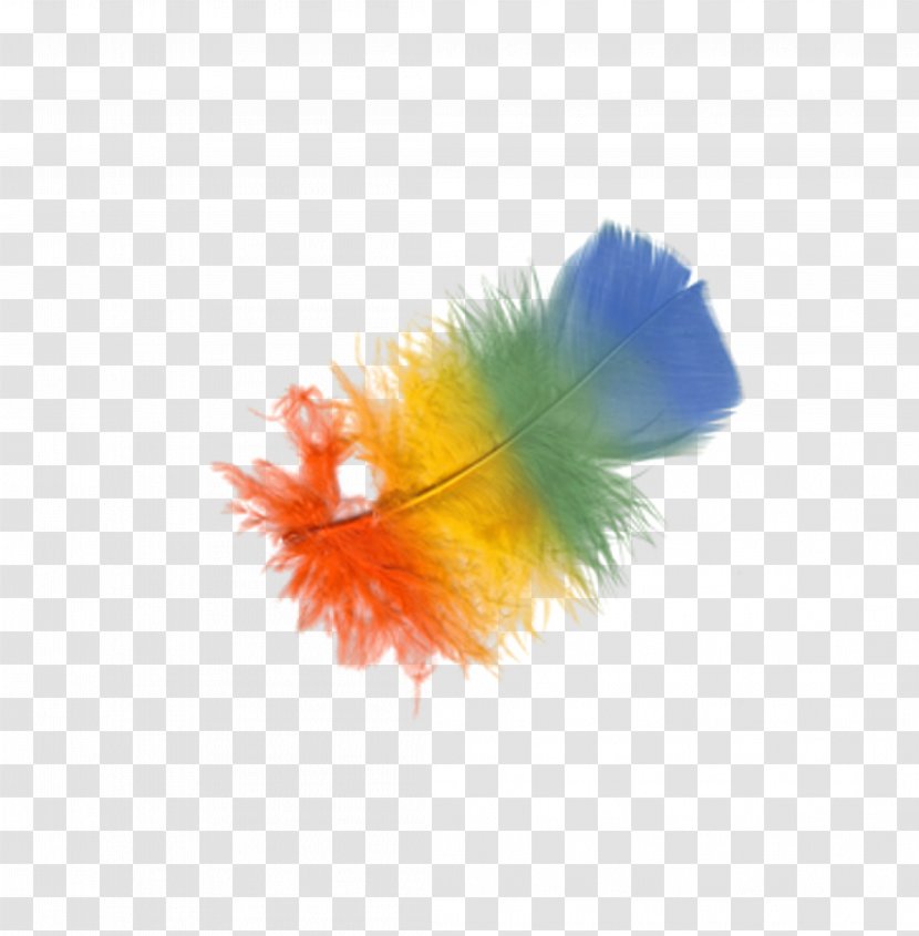 Feather Bird Clip Art - Orange - Feather,hair,Feather Figure Transparent PNG